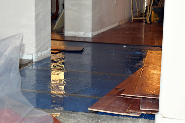 Professional Flood Cleanup technician working in Hastings, MI